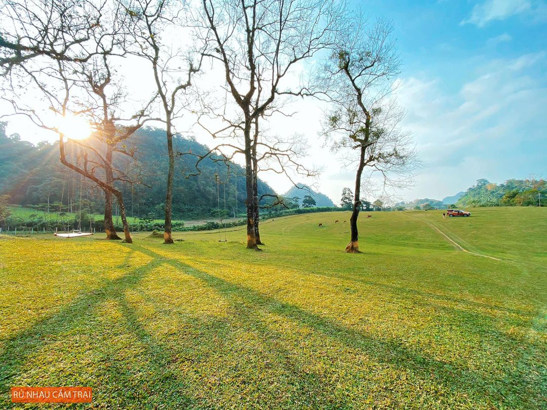 Độc đáo trên “thảo nguyên” bãi Bùi – Hoà Bình nhà LƯỢN