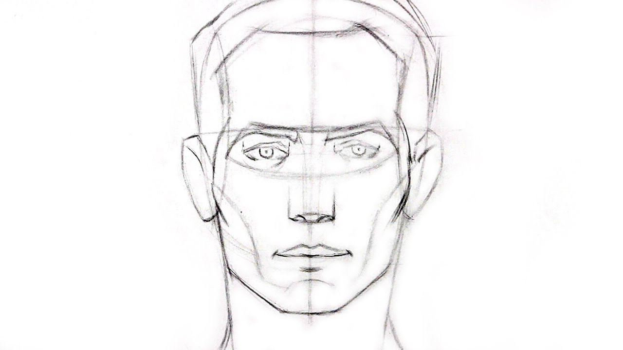 Proko - Cách vẽ khuôn mặt góc chính diện