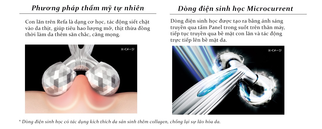 cây lăn refa cho mặt