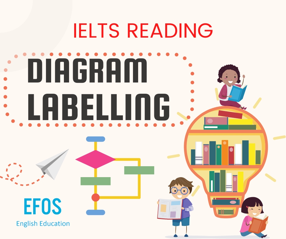 Phương pháp làm bài dạng Diagram Labelling trong IELTS Reading