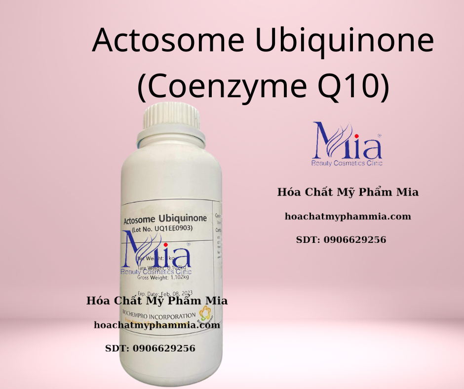 ACTOSOME UBIQUINONE - Coenzyme Q10