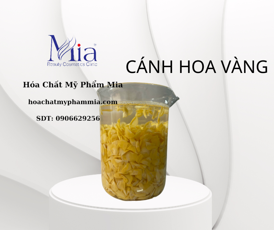 CÁNH HOA HỒNG - TÍM - VÀNG