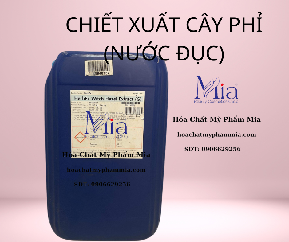 CHIẾT XUẤT CÂY PHỈ (NƯỚC ĐỤC)