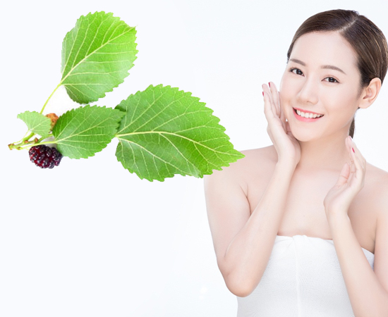 Công dụng làm đẹp của chiết xuất dâu tằm (Mulberry extract) mà bạn nên biết
