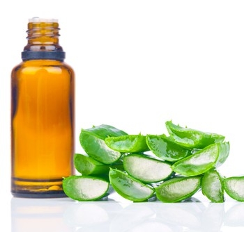 CHIẾT XUẤT NHA ĐAM (Aloe Vera Extract)