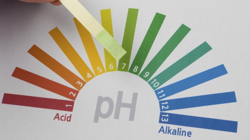 Dầu gội cho tóc rụng có nồng độ pH hợp lý