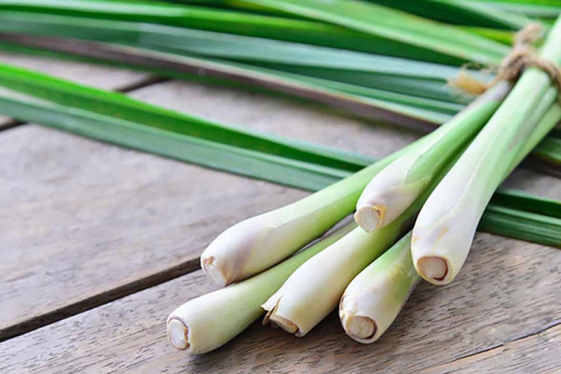 Cách trị rụng tóc bằng nước xả