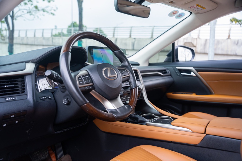 Lexus RX300 2020