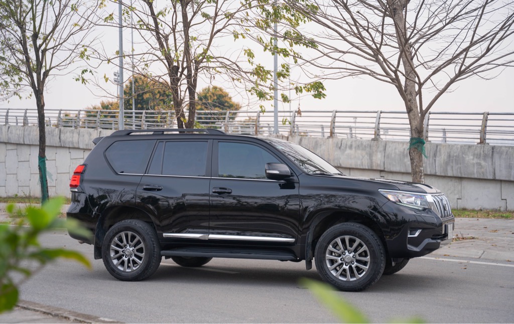 LAND PRADO 2019