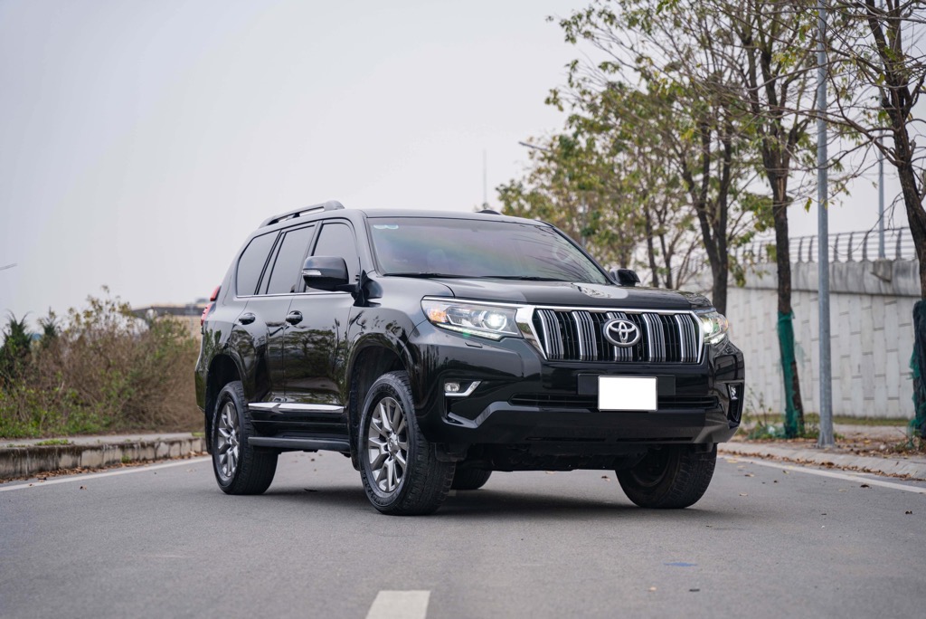 LAND PRADO 2019