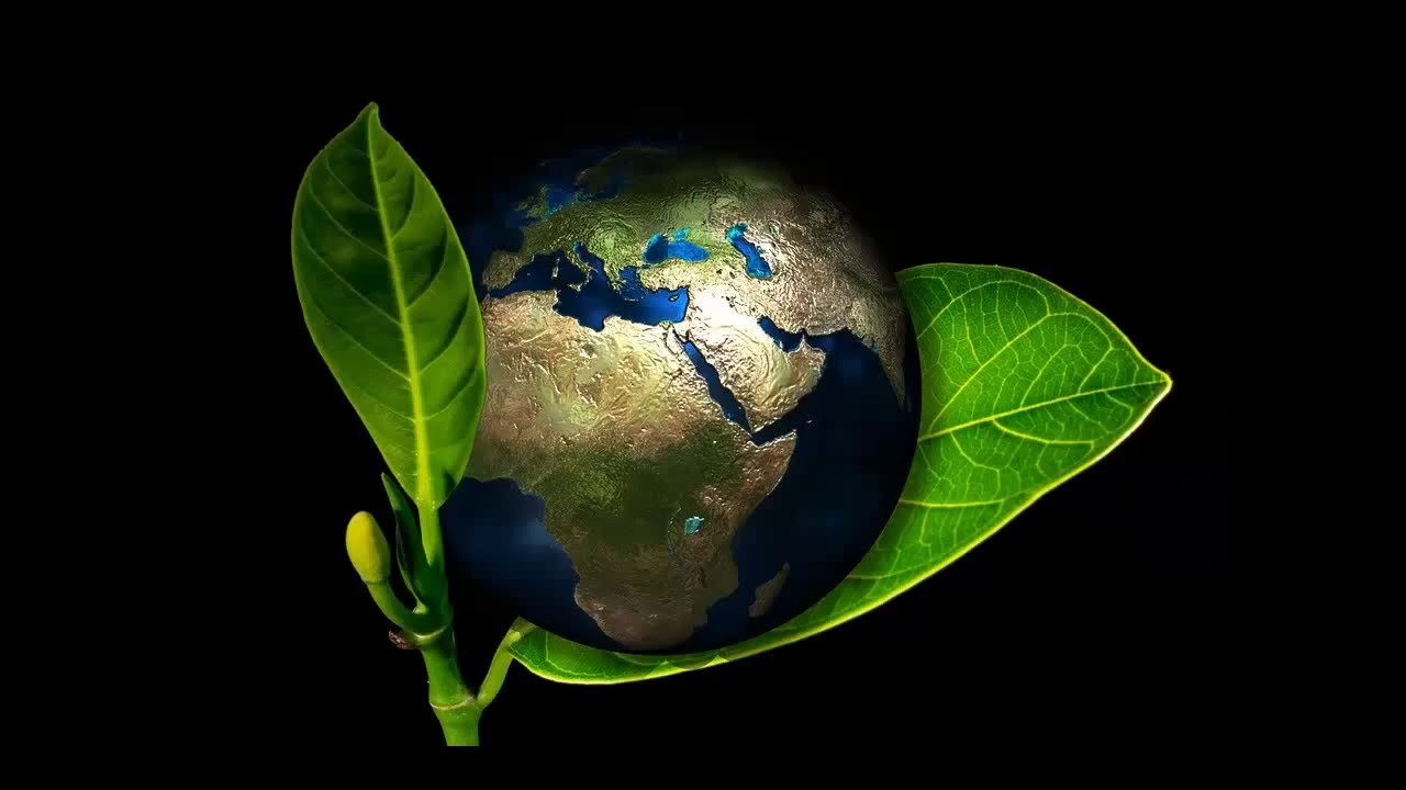 Tư vấn lập báo cáo đánh giá tác động môi trường (ĐTM)