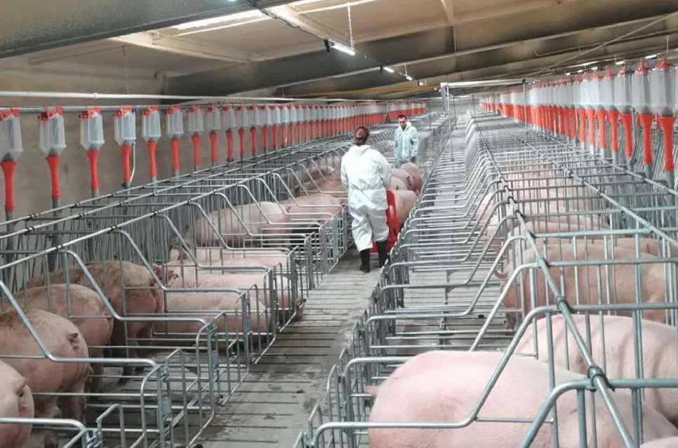 Trang trại chăn nuôi Minh Thúy Xuân Nha - Bản Nà An, xã Xuân Nha, huyện Vân Hồ, tỉnh Sơn La