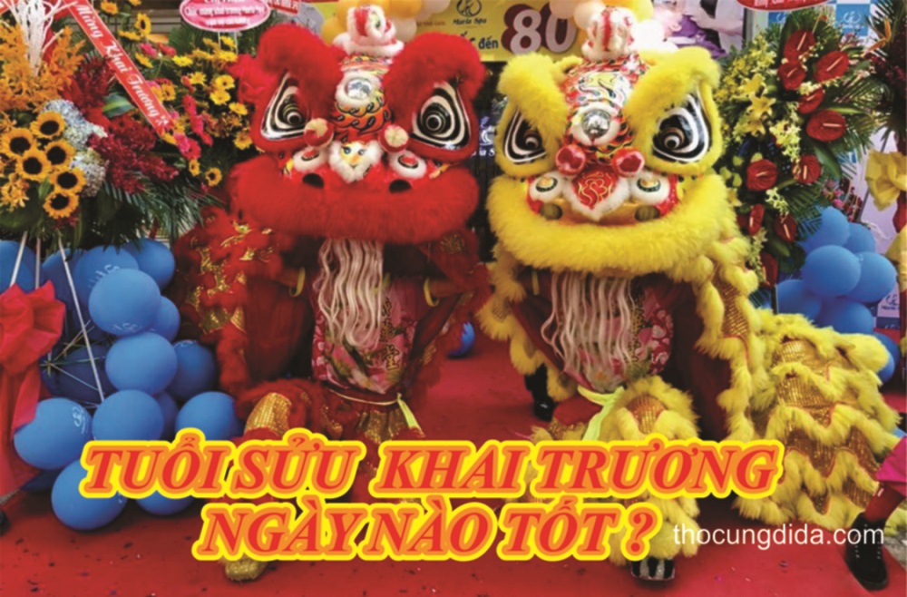 Top 29 tuổi sửu khai trương ngày nào tốt hot nhất, bạn nên biết 13 Tuổi Sửu Khai Trương Ngày Nào Tốt Và May Mắn Nhất ?