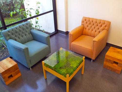 Bàn trà ươm cây