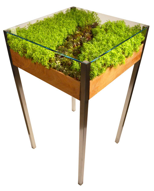 Bàn trà ươm cây