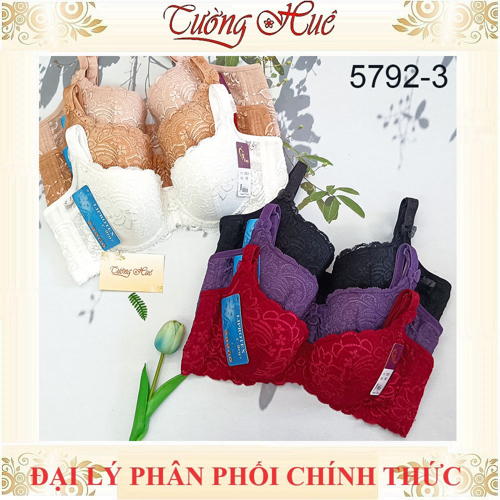 Áo lót nữ Đài Loan Iway 5792-3 Áo lót mút mỏng có gọng phối ren lưng bản to 3 móc cài.