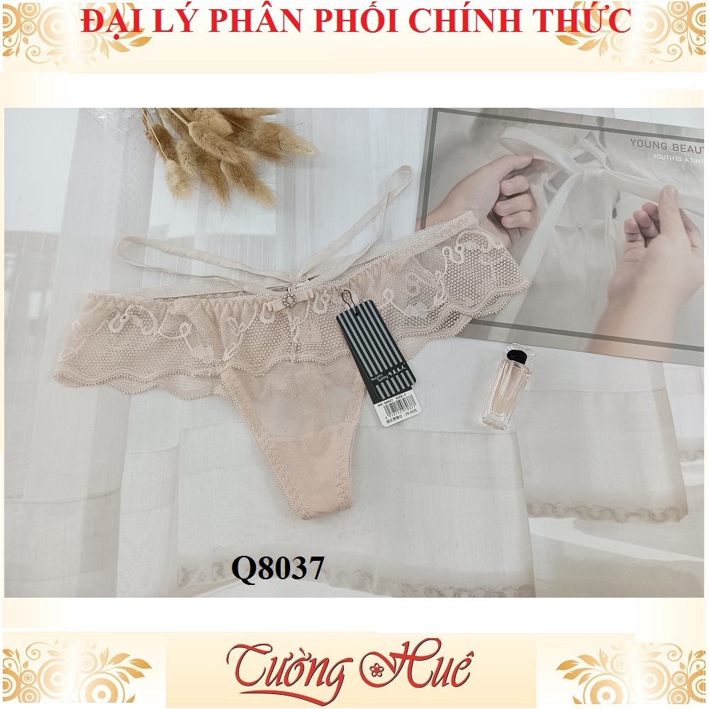 Quần lót nữ lọt khe ren lưới sexy freesize MÀU NGẪU NHIÊN.