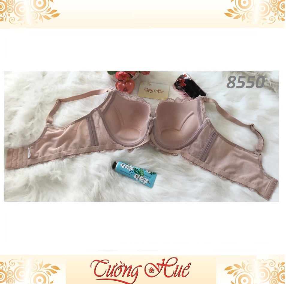 Áo lót nữ Annie Bra 8066 nguyên bảng to.