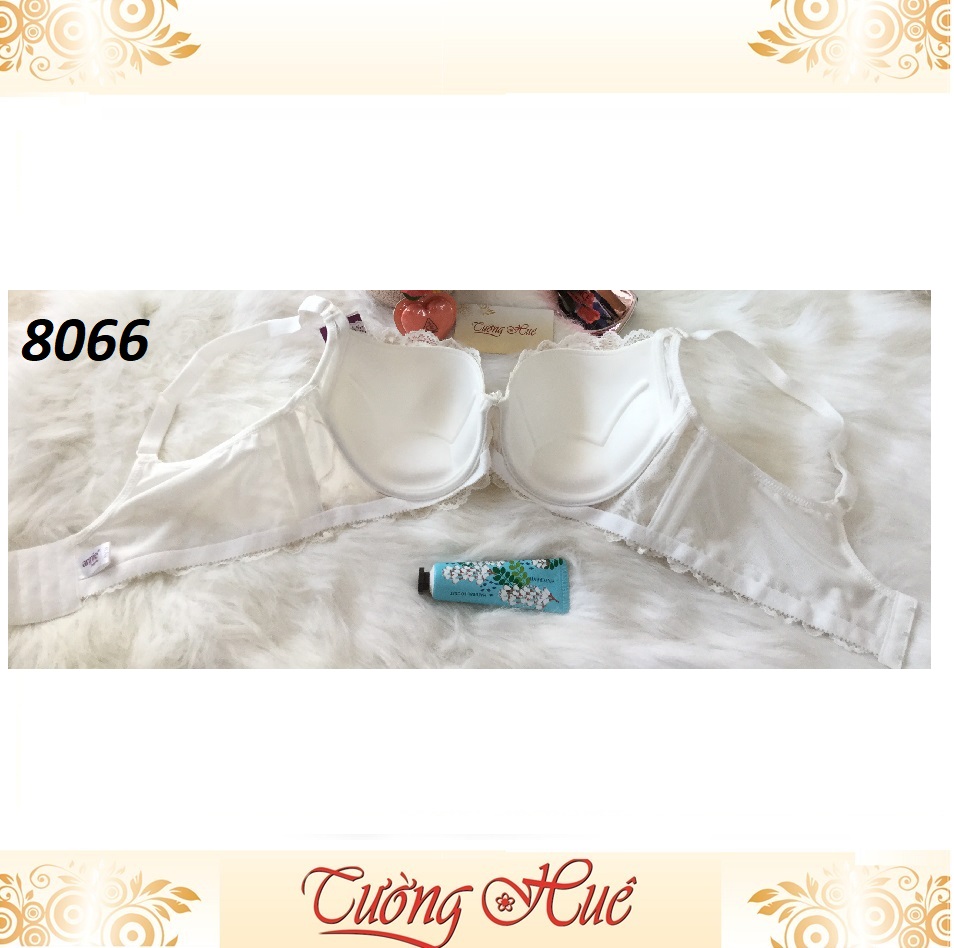 Áo lót nữ Annie Bra 8066 nguyên bảng to.