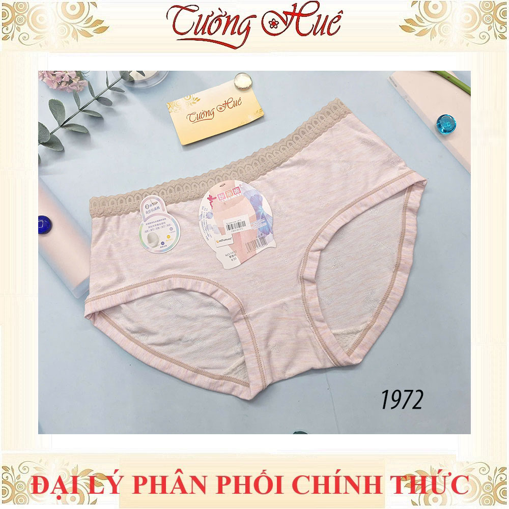 Quần lót nữ Miaolina 1972 lưng ren cao MÀU NGẪU NHIÊN.