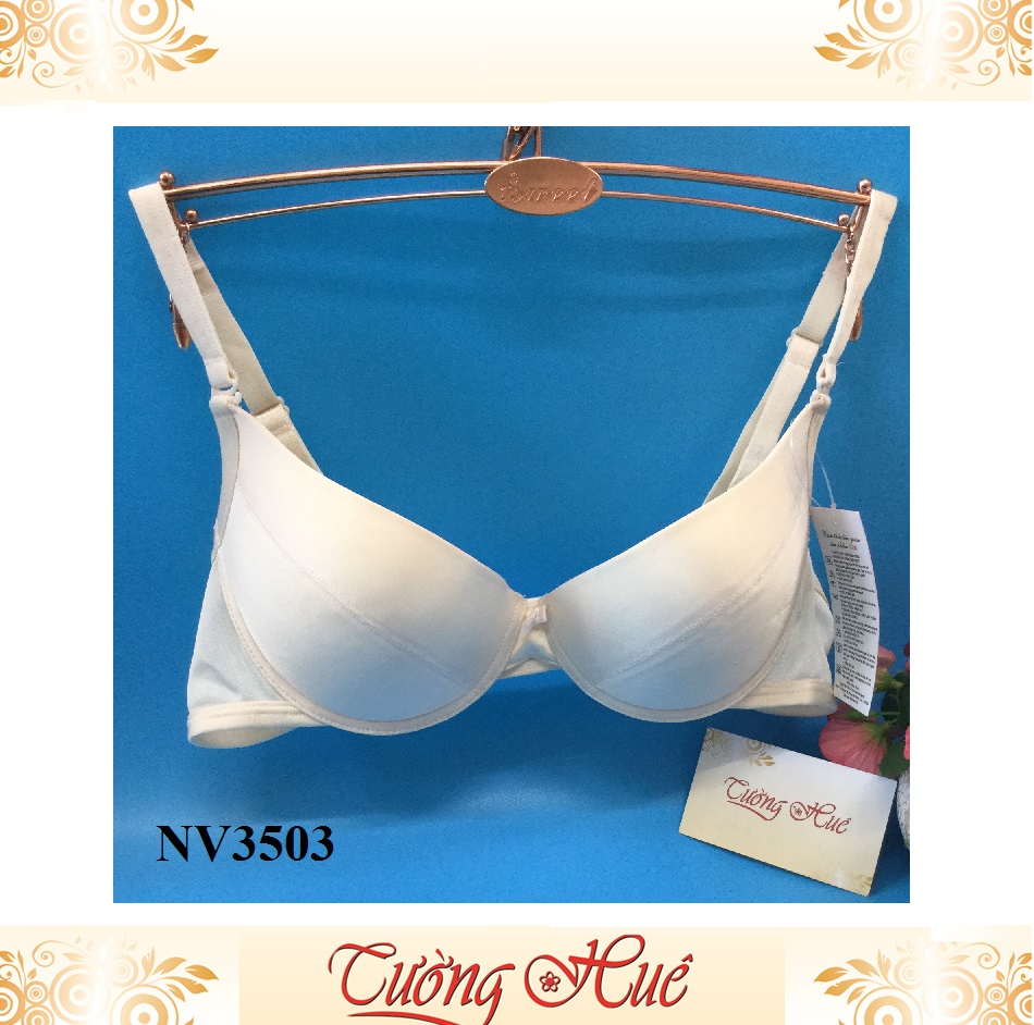 Áo lót nữ Ilina NV3503 dạng V sâu.