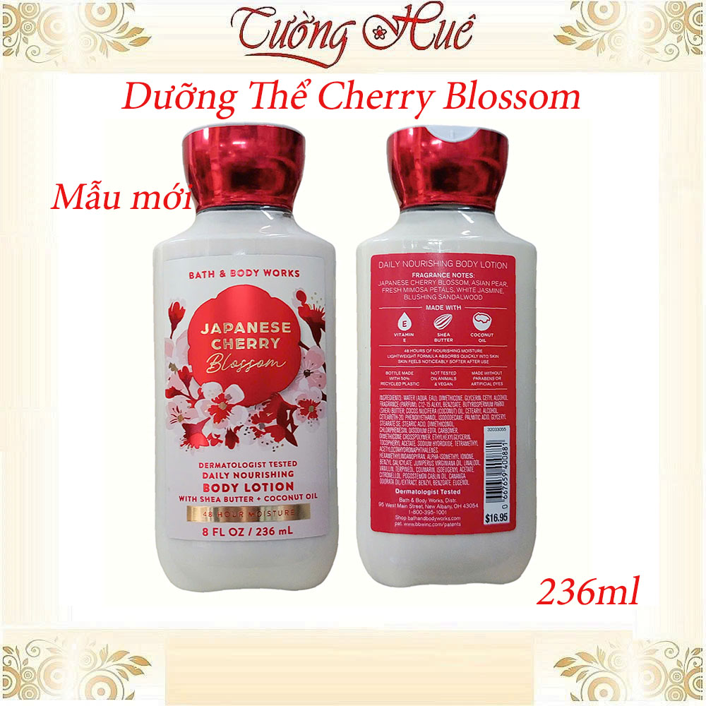 Tắm Dưỡng Xịt Thơm Bath & Body Works Japanese Cherry Blossom (Có Lựa Chọn)
