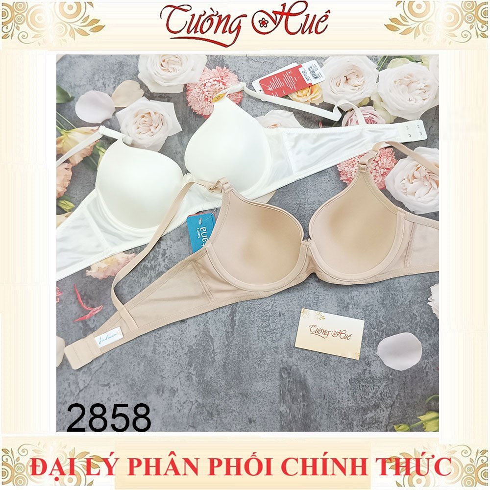 Áo Lót Nữ Thái Lan Jintana JB2858 Có Gọng Trơn Mút Mỏng 2 Móc Cài.