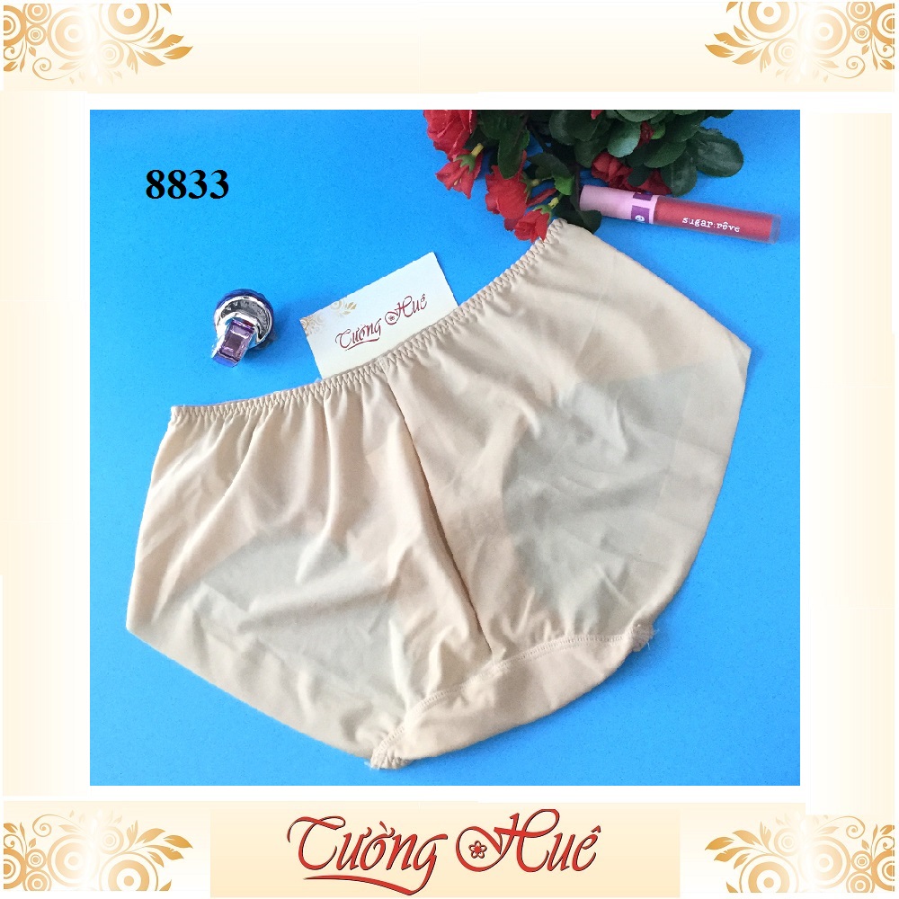 Quần lót nữ Shianey 8833 trơn nguyên mông lưng thấp.