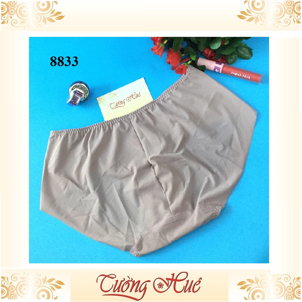 Quần lót nữ Shianey 8833 trơn nguyên mông lưng thấp.