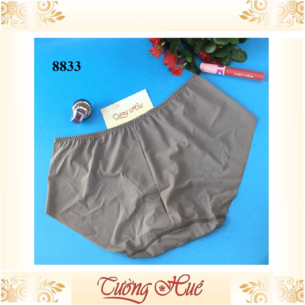 Quần lót nữ Shianey 8833 trơn nguyên mông lưng thấp.