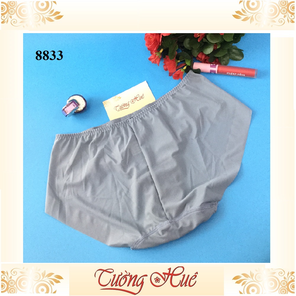 Quần lót nữ Shianey 8833 trơn nguyên mông lưng thấp.
