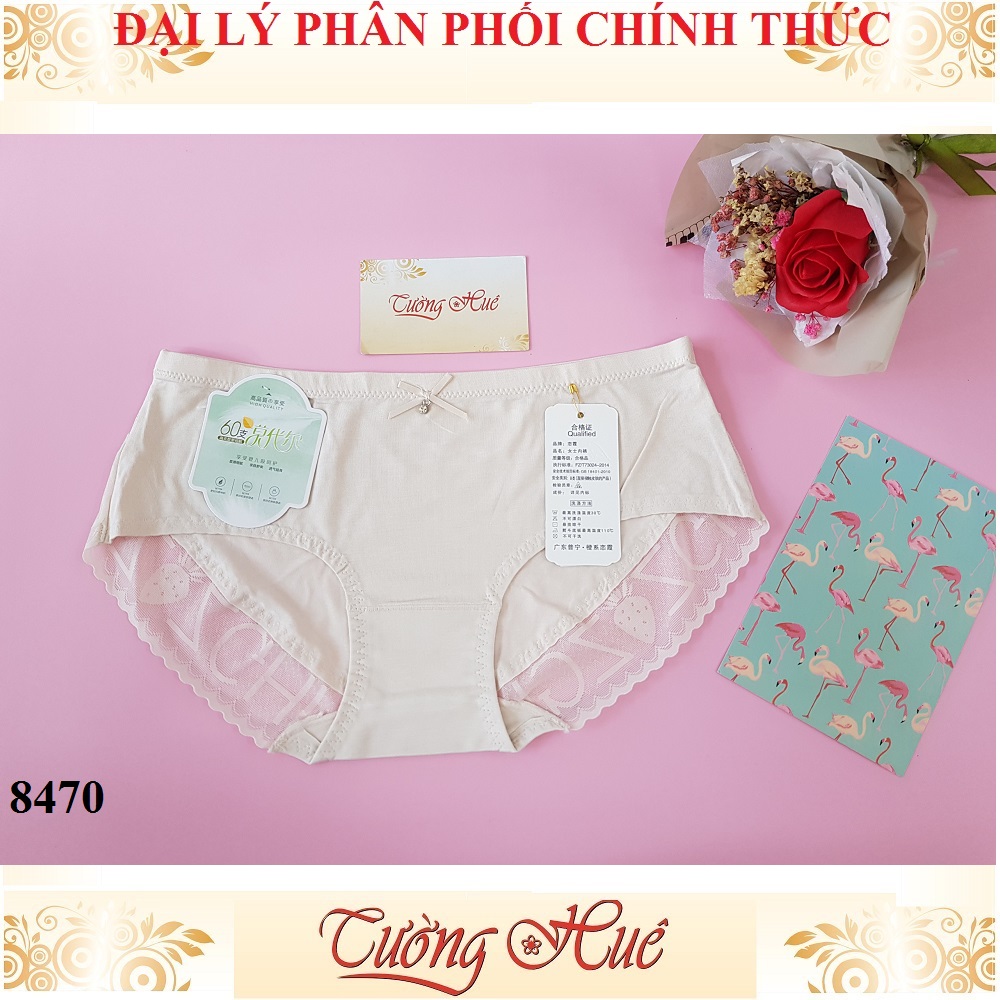 Quần lót nữ Lian Xia 8470 trơn phối lưới chữ freesize MÀU NGẪU NHIÊN.