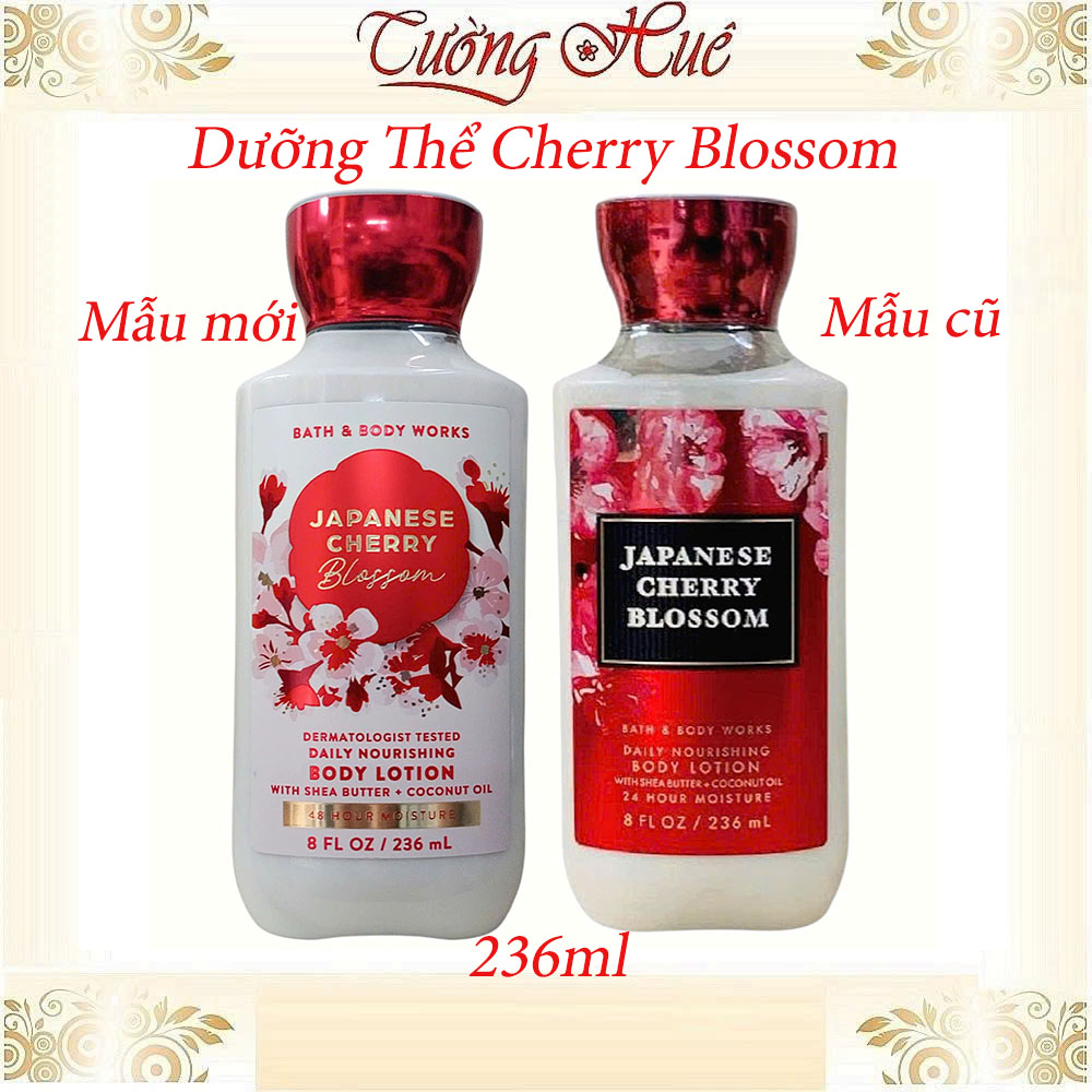 Tắm Dưỡng Xịt Thơm Bath & Body Works Japanese Cherry Blossom (Có Lựa Chọn)