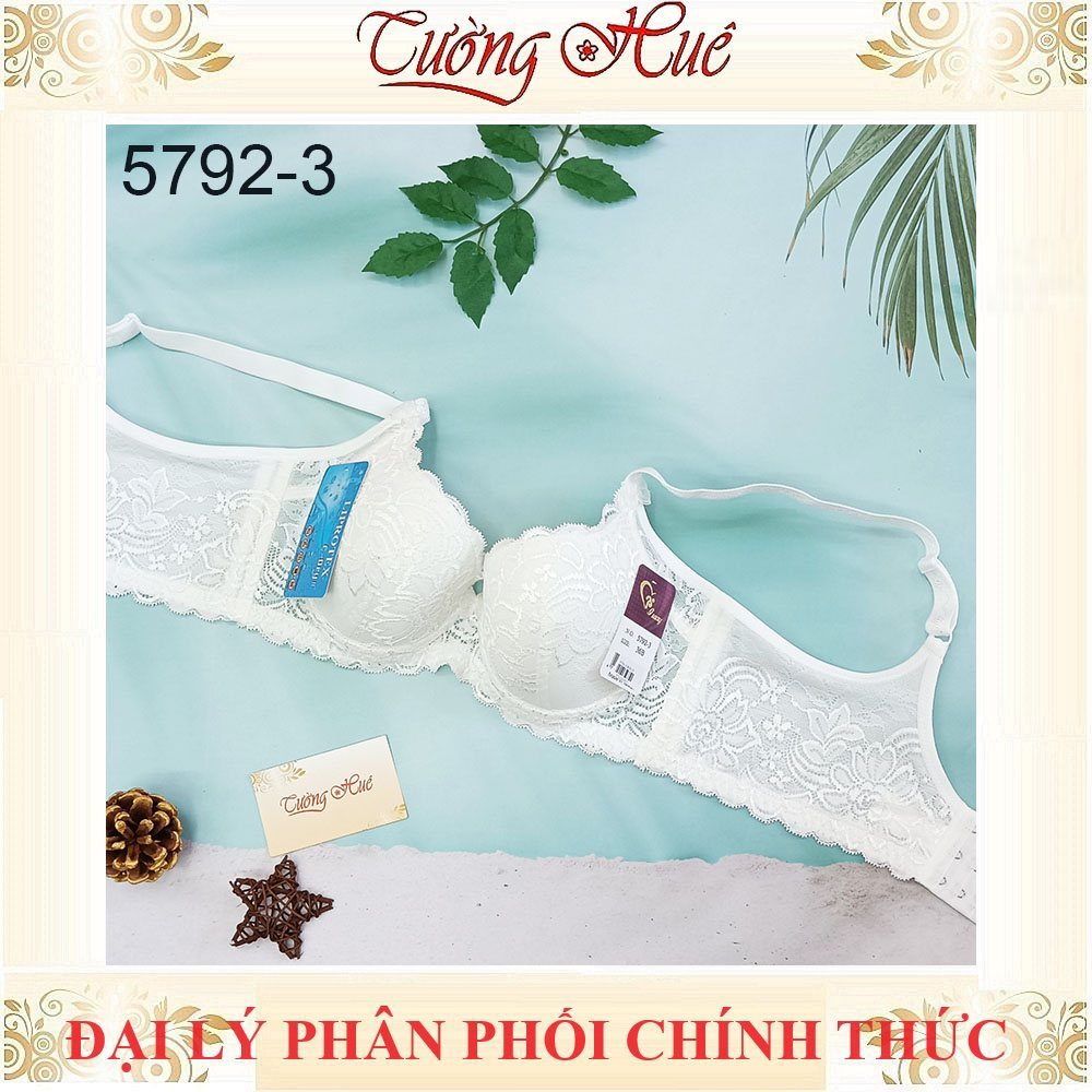 Áo lót nữ Đài Loan Iway 5792-3 Áo lót mút mỏng có gọng phối ren lưng bản to 3 móc cài.