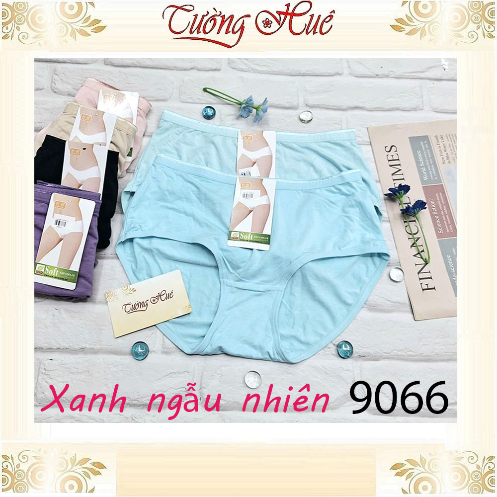 Quần lót nữ Hàn Quốc CanLan 9066 quần cỡ lớn 100% cotton lạnh.