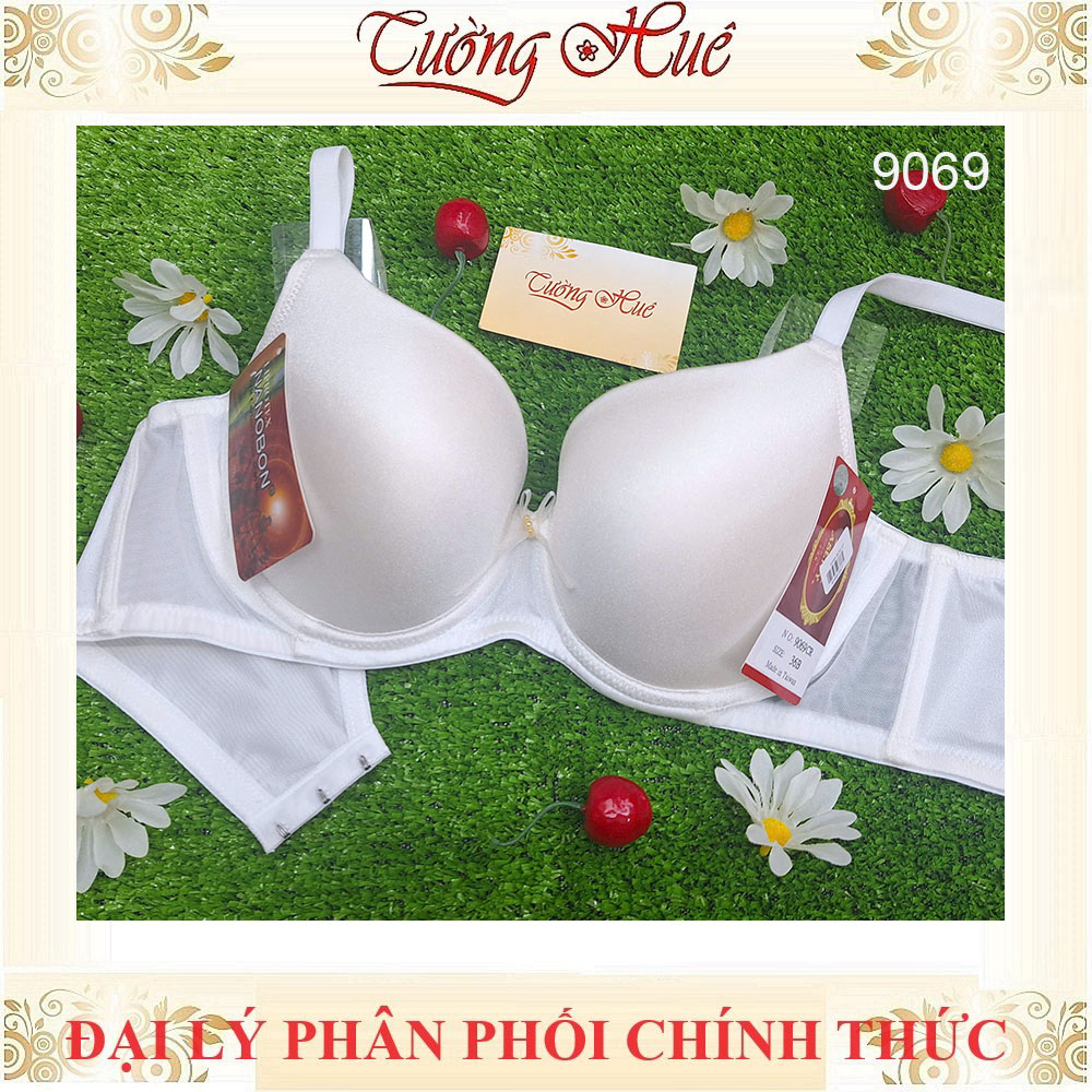 Áo Lót Nữ Aseity 9069 Trơn Cúp 3/4 Quả Ngực Lớn Có Gọng Mút 2 cm Dây Bản Liền Bản Lưng To 3 Móc cài