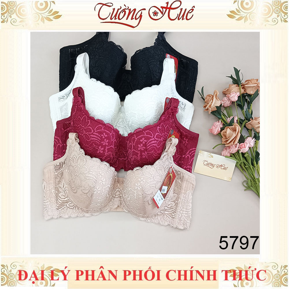 Áo Lót Nữ Đài Loan Aseity 5797 Có Gọng Bảng Lưng To Phối Ren Mút Siêu Mỏng Cúp C và D