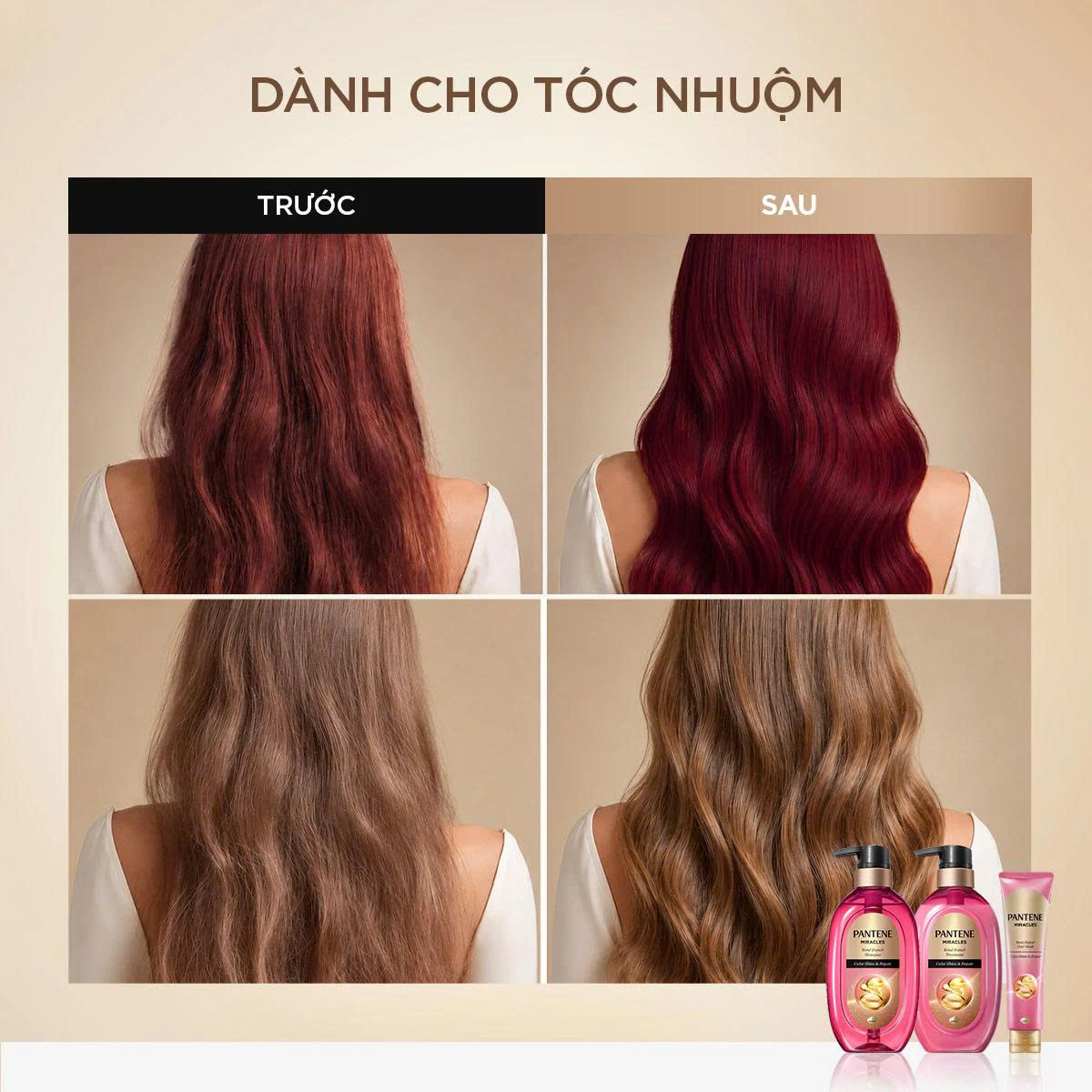Dầu Xả Tóc Pantene Miracles Cho Tóc Nhuộm 440g