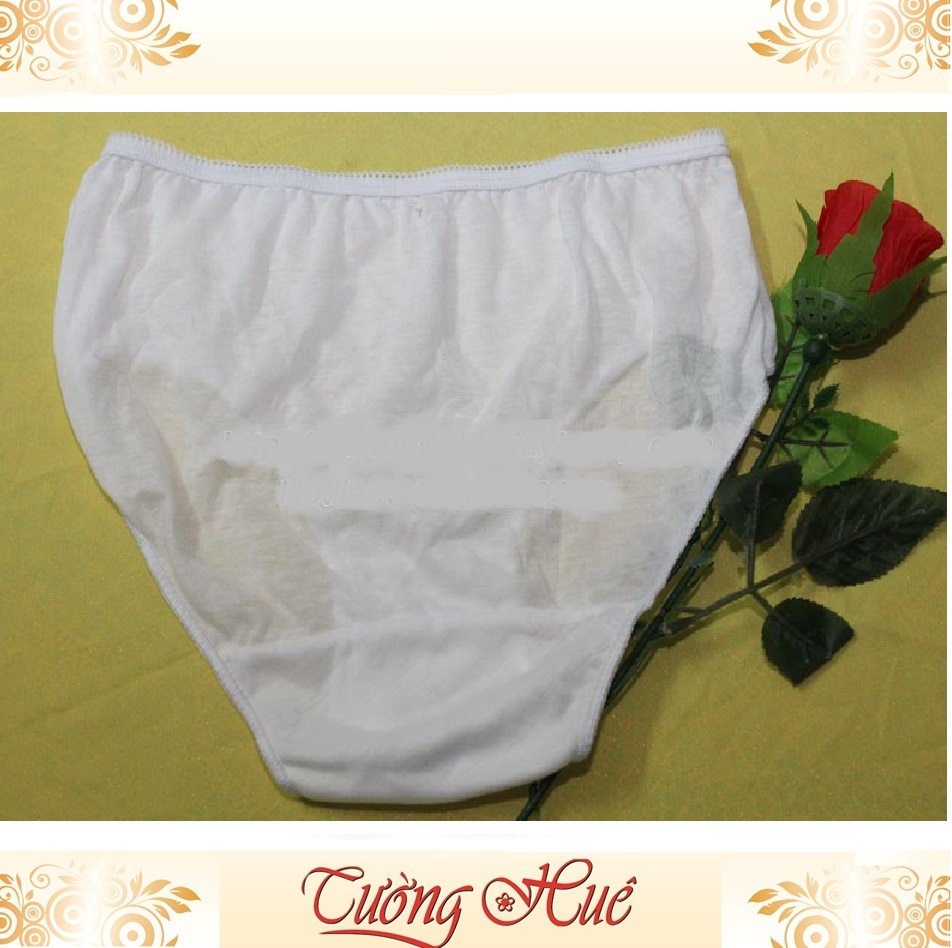 Quần lót giấy nam Maxx (combo 5 quần).