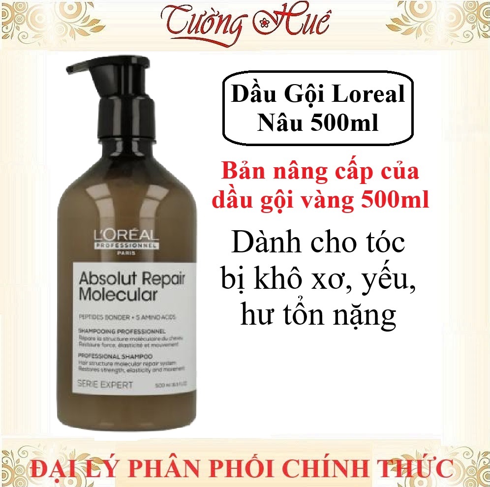 Dầu Gội Loreal Serie Expert Chăm Sóc Tóc Chuyên Sâu Shampoo - 500ml (Có lựa chọn)