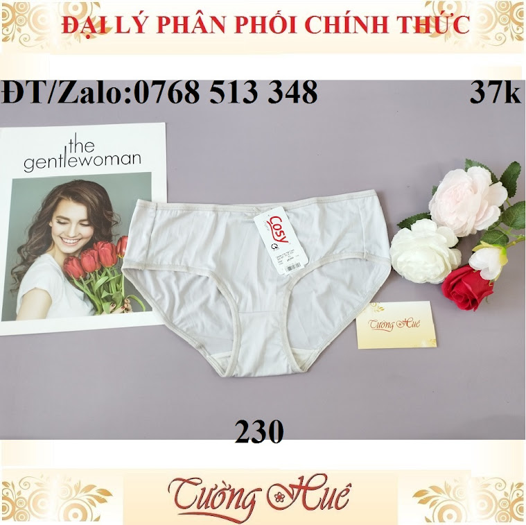 Quần lót nữ Cosy HCE 230 trơn lưng cao.