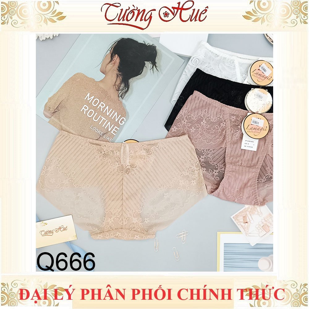 Quần lót nữ Lamagie Q666 Ren Lưới Mềm Lưng Vừa