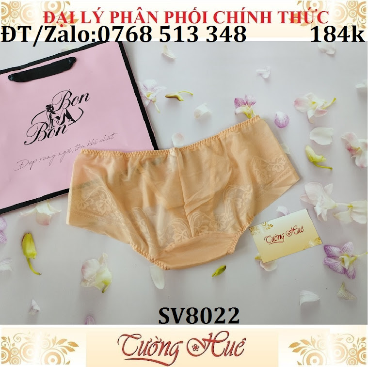 Quần lót nữ Bon Bon SV8022 ren lưới hoa văn không viền may, lưng thấp vừa.