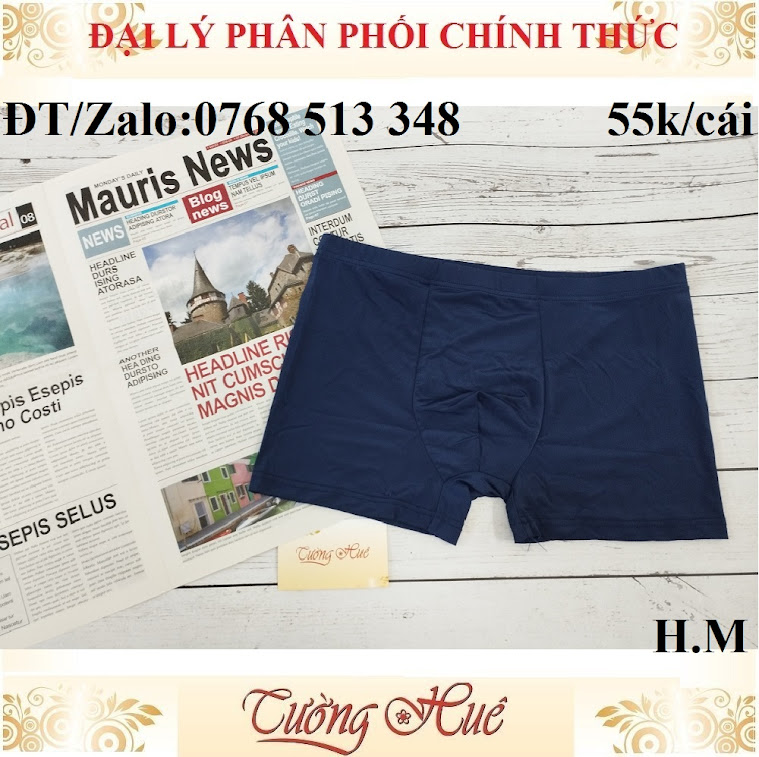 Quần lót nam H.M dạng đùi thun lạnh.