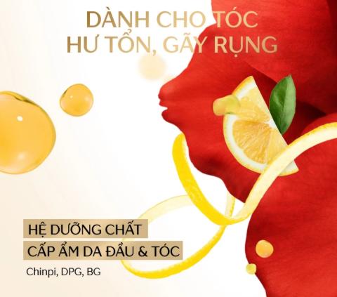 Dầu Gội Và Xả Phục Hồi Tóc Hư Tổn & Ngăn Gãy Rụng Tsubaki Premium Ex Hair Fall Care & Repair - 450ml (Có Lựa Chọn)