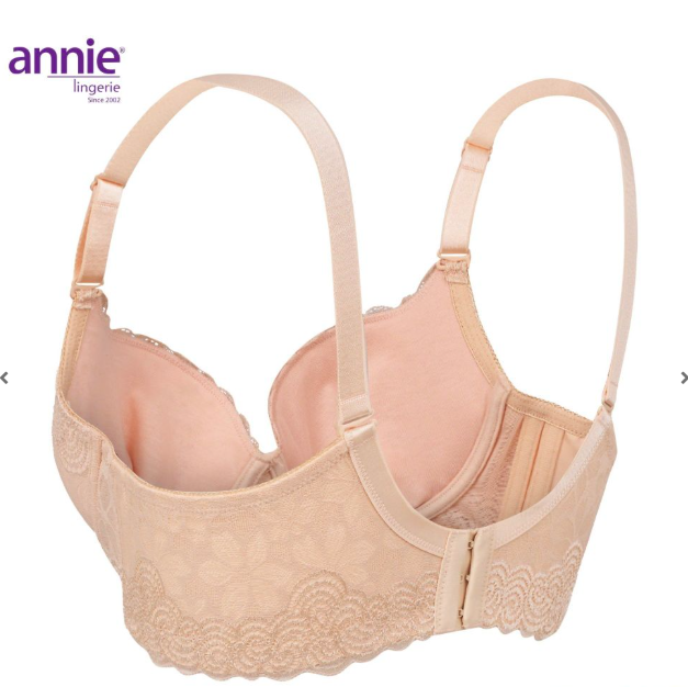 Áo Lót Nữ annie 8154 cao cấp ren mềm mút mỏng vừa có gọng