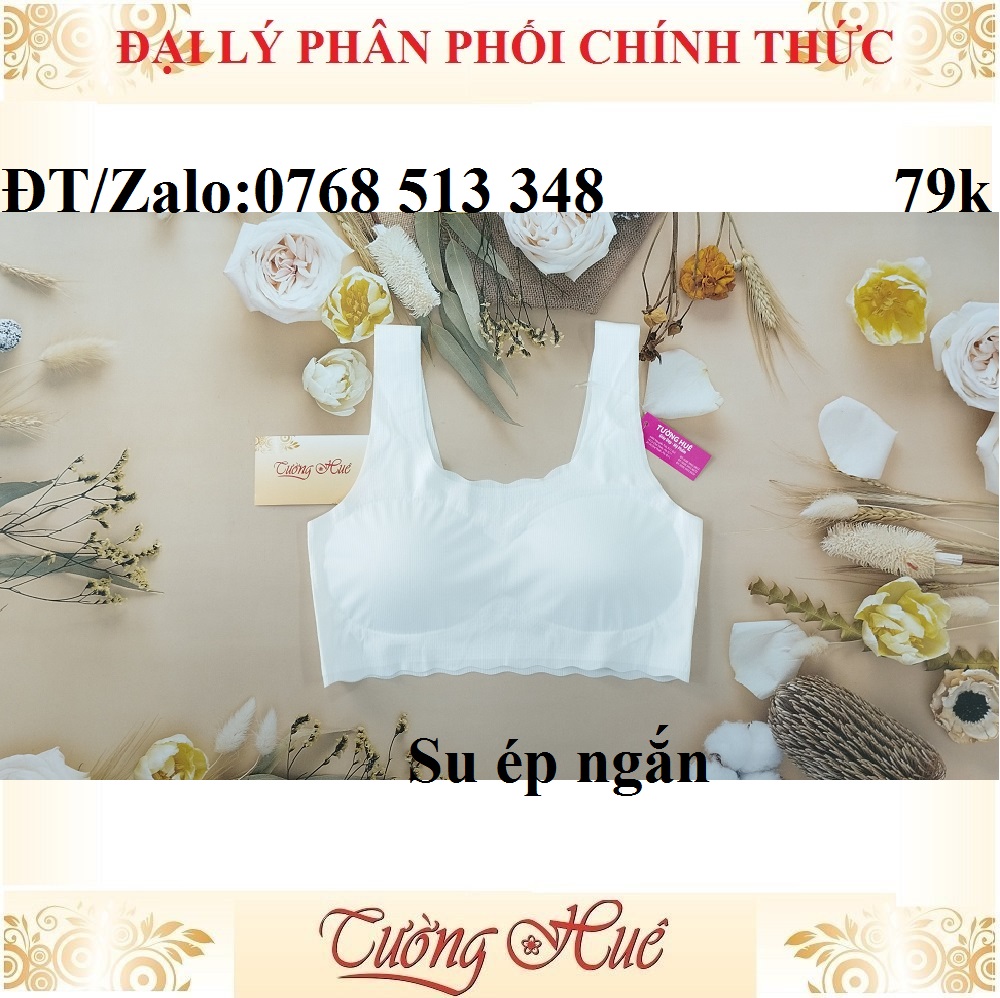 Áo lá su ép trơn không đường may áo lá học sinh.