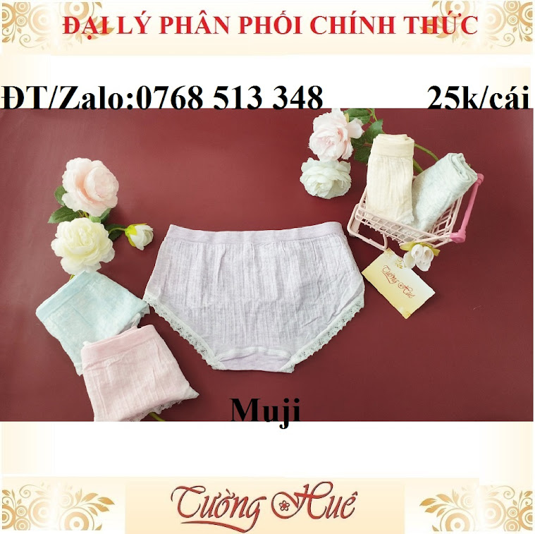 Quần lót nữ Muji cotton lưng cao FREESIZE.