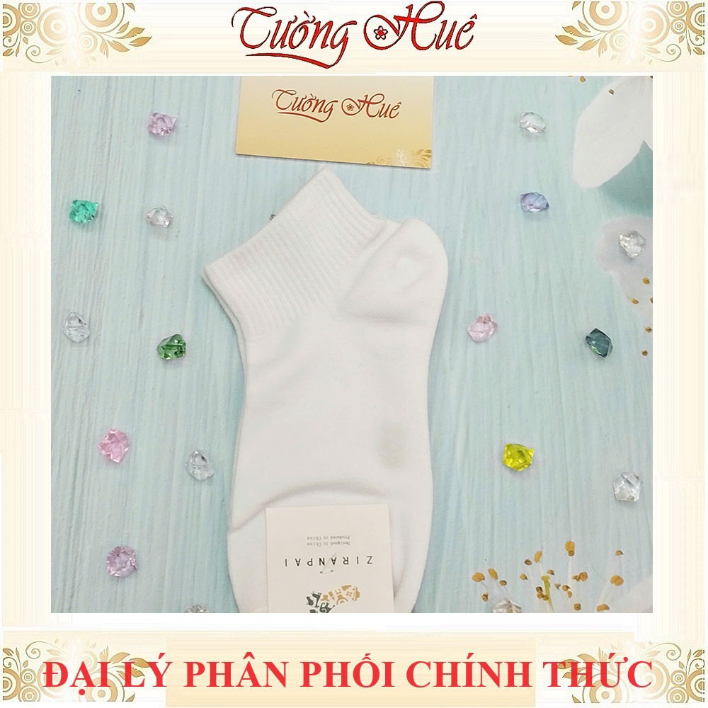 VỚ ZIRANPAI KIỂU DÁNG BASIC TRƠN CỔ NGẮN NHIỀU MÀU.