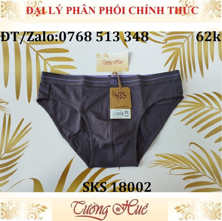 Quần lót nam Darlin SKS 18002 quần tam giác cotton trơn.